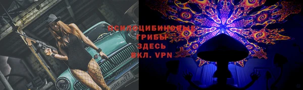 a pvp Волоколамск