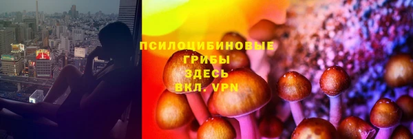 тгк Волосово