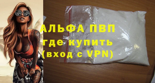 шишки Сясьстрой