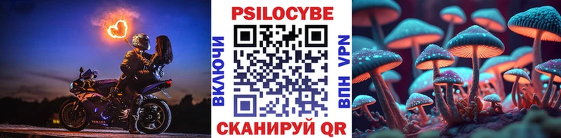 Галлюциногенные грибы Cubensis  omg как войти  Железноводск 